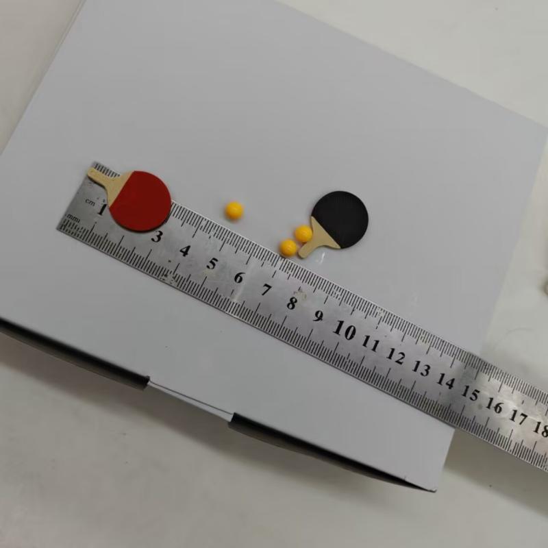 1Set Poppenhuis Miniatuur Ping - Table Tennis Information recensie en prijs